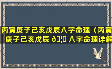 丙寅庚子己亥戊辰八字命理（丙寅庚子己亥戊辰 🦉 八字命理详解 🐺 ）